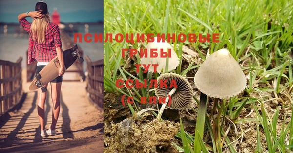 соль ск Покров