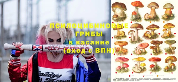 соль ск Покров
