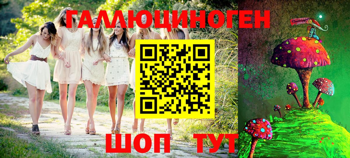 Галлюциногенные грибы Psilocybe Азнакаево